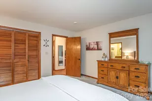 22 Dalonigei Ct, Brevard, NC 28712 - Photo 26