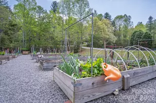 22 Dalonigei Ct, Brevard, NC 28712 - Photo 46