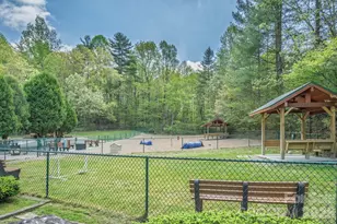 22 Dalonigei Ct, Brevard, NC 28712 - Photo 44
