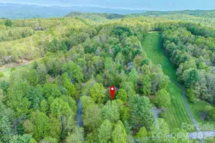 22 Dalonigei Ct, Brevard, NC 28712 - Photo 42