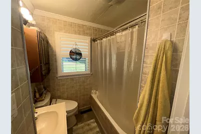 110 9th Street, Black Mountain, NC 28711 - Photo 14