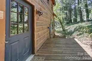 10 Black Locust Dr, Asheville, NC 28804 - Photo 24