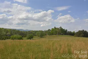 16 Rocking Chair Ln, Leicester, NC 28748 - Photo 2