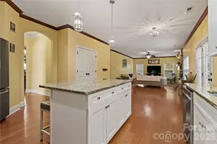1518 Squirrel Lake Ct, Matthews, NC 28105 - Photo 20