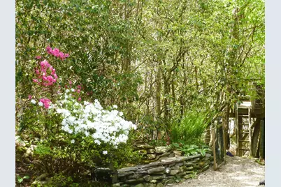 2698 Connestee Trail, Brevard, NC 28712 - Photo 22