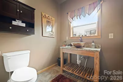 442 Blantyre Church Road, Horse Shoe, NC 28742 - Photo 10