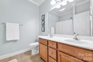 6111 Latta Springs Cir, Huntersville, NC 28078 - Photo 26