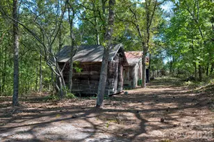 22271 Hwy 151 Hwy, McBee, SC 29101 - Photo 30