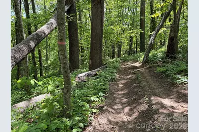 24 Smokey Road, Asheville, NC 28803 - Photo 48