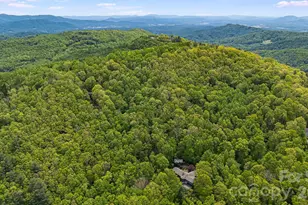24 Smokey Rd, Asheville, NC 28803 - Photo 44