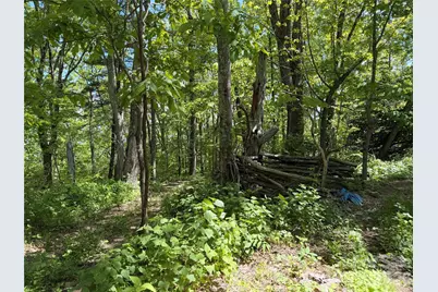 24 Smokey Road, Asheville, NC 28803 - Photo 46