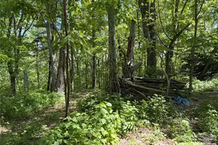 24 Smokey Rd, Asheville, NC 28803 - Photo 46