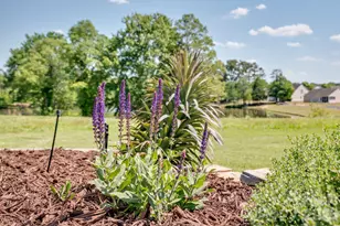 3096 Ambleside Dr, Fort Mill, SC 29707 - Photo 44