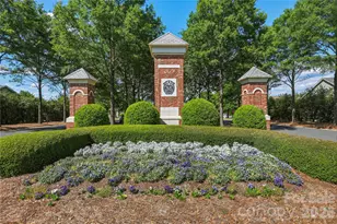 446 Dudley Dr, Fort Mill, SC 29715 - Photo 46