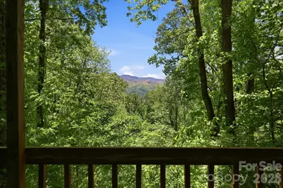 169 Sleepy Hollow Lane, Canton, NC 28716 - Photo 28