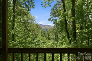 169 Sleepy Hollow Ln, Canton, NC 28716 - Photo 28