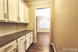 4925 Grace View Dr, Pineville, NC 28134 - Photo 10