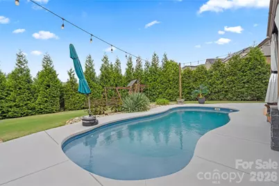 393 Vine Street, Indian Land, SC 29707 - Photo 38