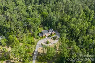 14 Brookside Rd, Asheville, NC 28803 - Photo 44