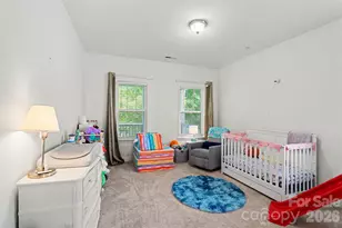 13712 Cinnabar Pl, Huntersville, NC 28078 - Photo 16