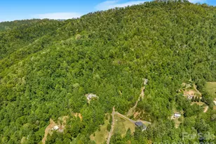 274 Poverty Branch Rd, Barnardsville, NC 28709 - Photo 34