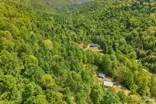 274 Poverty Branch Rd, Barnardsville, NC 28709 - Photo 28