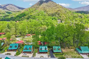 589 Panoramic Loop, Maggie Valley, NC 28751 - Photo 18