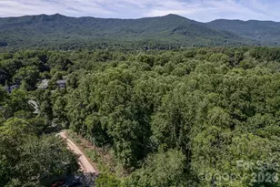 17 Chicago Ave, Black Mountain, NC 28711 - Photo 12
