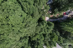 17 Chicago Ave, Black Mountain, NC 28711 - Photo 14