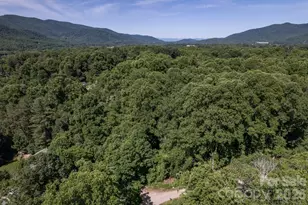 17 Chicago Ave, Black Mountain, NC 28711 - Photo 16