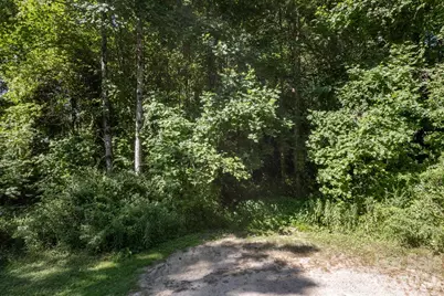 17 Chicago Avenue, Black Mountain, NC 28711 - Photo 10