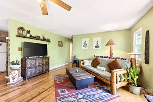 190 Shope Crk Rd, Asheville, NC 28805 - Photo 4