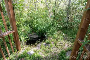 190 Shope Crk Rd, Asheville, NC 28805 - Photo 22