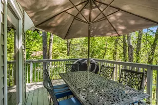 268 Mallard Rd, Lake Lure, NC 28746 - Photo 28