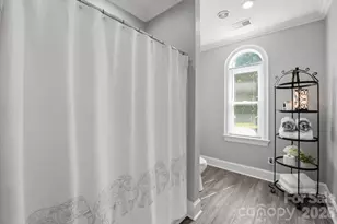 18928 Peninsula Point Dr, Cornelius, NC 28031 - Photo 40