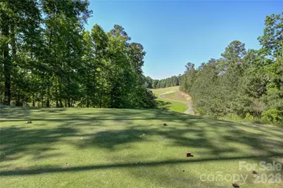 15512 Aviary Orchard Way, Charlotte, NC 28278 - Photo 48
