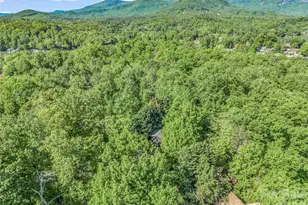 105 Sunset Cove Rd, Lake Lure, NC 28746 - Photo 40