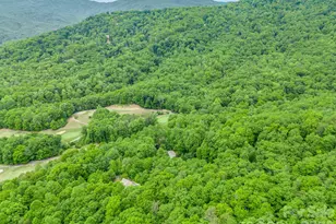 425 Winesap Blvd, Lake Lure, NC 28746 - Photo 46