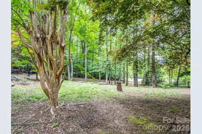 425 Winesap Boulevard, Lake Lure, NC 28746 - Photo 24