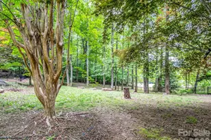 425 Winesap Blvd, Lake Lure, NC 28746 - Photo 24