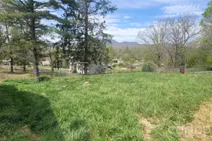 60 Mingus St, Canton, NC 28716 - Photo 12