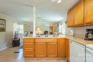28 Brooks Cove Rd, Black Mountain, NC 28711 - Photo 16