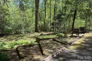 427 Wingfield Way, Brevard, NC 28712 - Photo 4