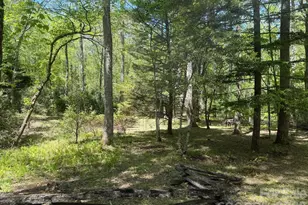 427 Wingfield Way, Brevard, NC 28712 - Photo 34