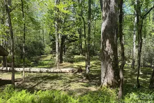 427 Wingfield Way, Brevard, NC 28712 - Photo 32