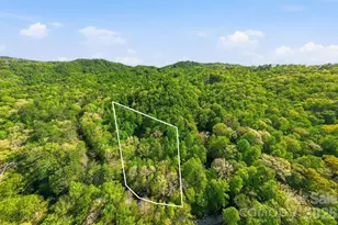 427 Wingfield Way, Brevard, NC 28712 - Photo 46