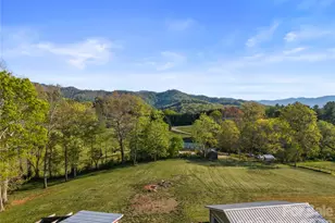 882 Queentown Rd, Canton, NC 28716 - Photo 32