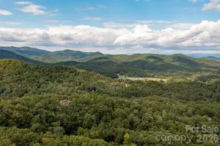 559 Shining Rock Path, Horse Shoe, NC 28742 - Photo 36