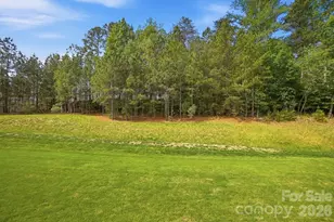 10706 Anglesey Ct, Charlotte, NC 28278 - Photo 46