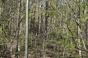 880 N Main St, Marion, NC 28752 - Photo 18